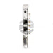 P image of CFL01.1-E2