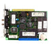 P image of CLCP1.1