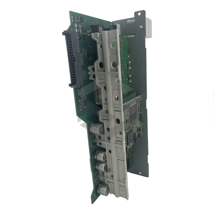 C image of R911338543 | Back Right