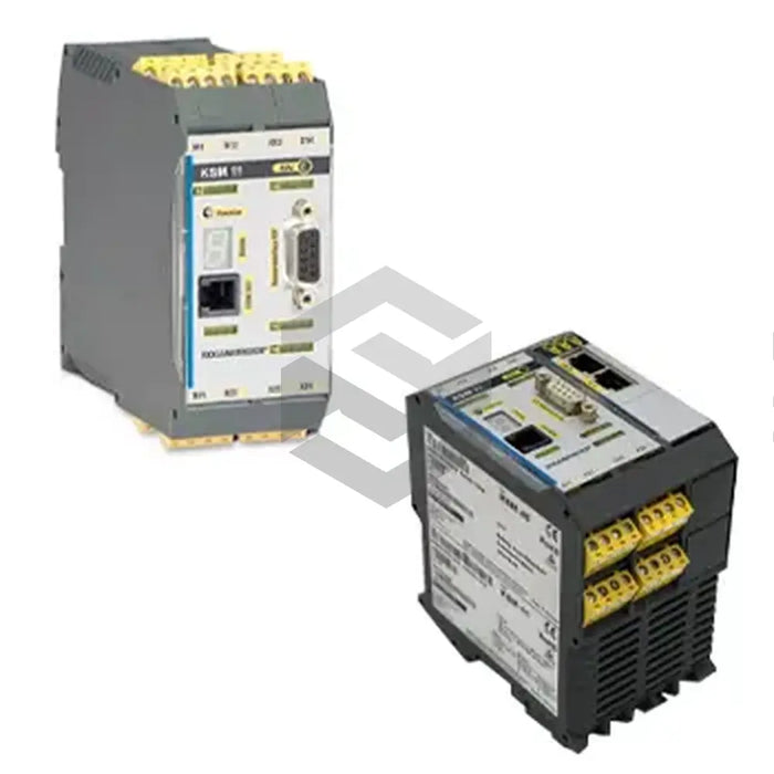 S image of KSM 100-1